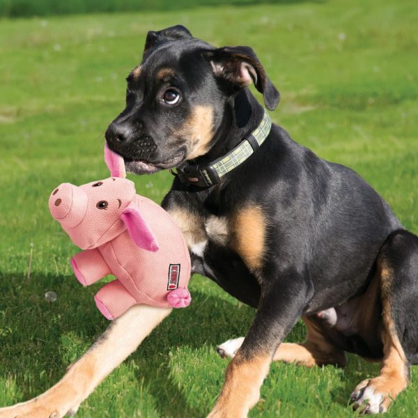 KONG Phatz Pig Plush Dog Toy For Discount