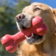 KONG Goodie Bone Dog Toy Online now