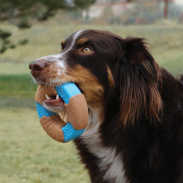 KONG CoreStrength Bamboo Ring Dog Toy For Discount